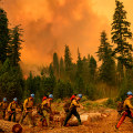 The Importance of Addressing Environmental Issues in Campaigns in Washington County, Oregon